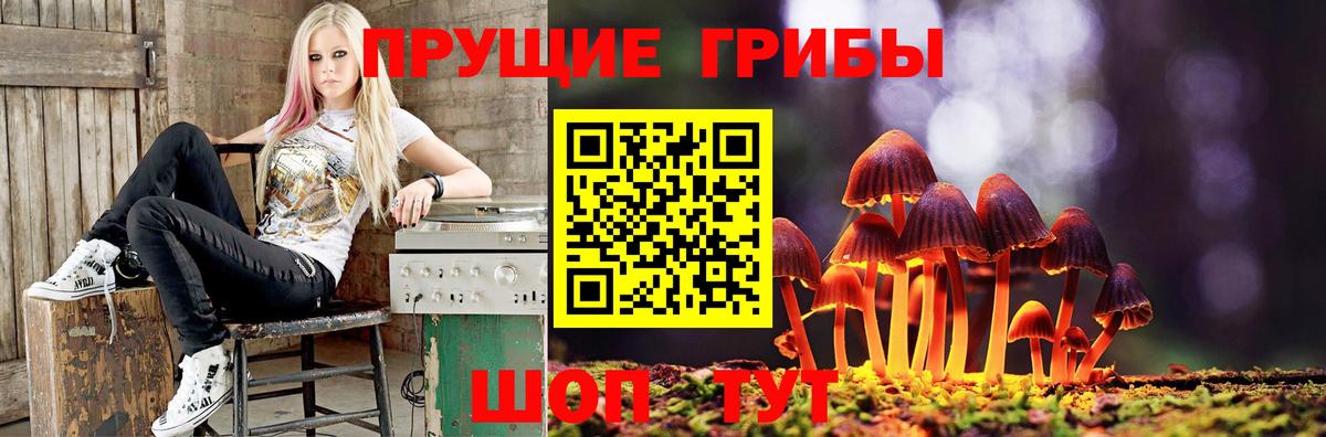 Псилоцибиновые грибы Psilocybine cubensis  Вход с VPN  Черняховск  Псилоцибиновые грибы мицелий 