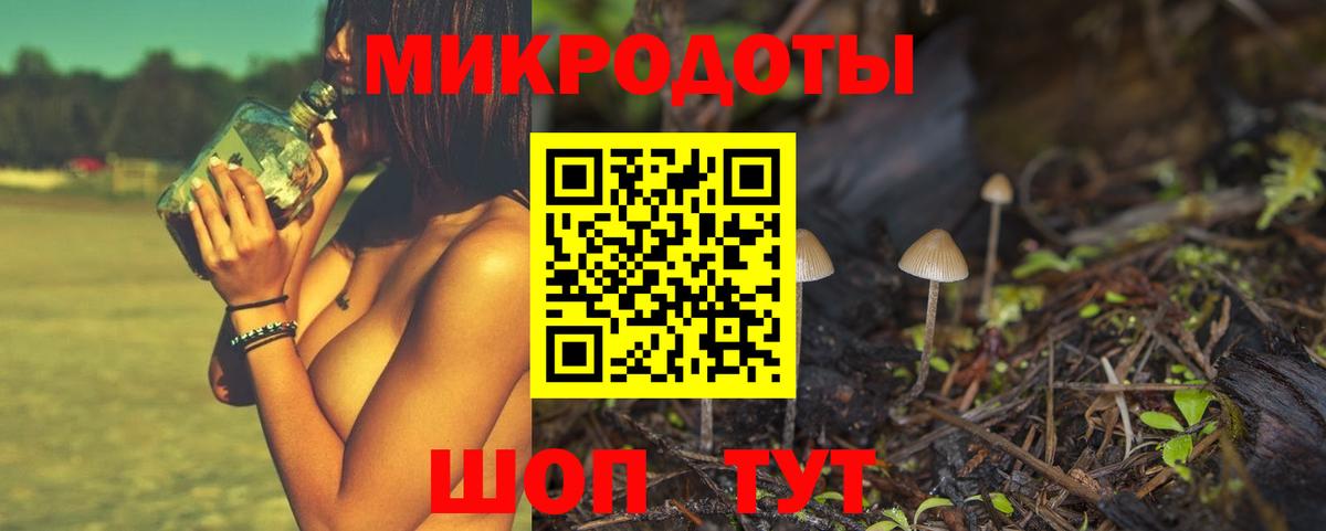 Псилоцибиновые грибы мухоморы Черняховск